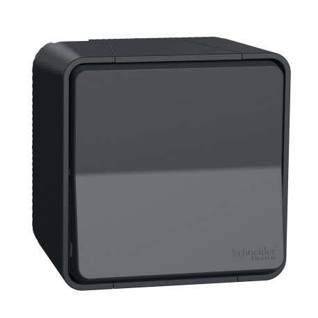 INTERRUPTOR BIPOLAR COMPLETO ESTANCO GRIS DE SUPERFICIE IP55 SCHNEIDER MUREVA STYL MUR35033