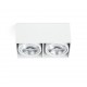 TECTO-2 Lampara plafon blanca AR111 63276 - FARO ILUMINACION