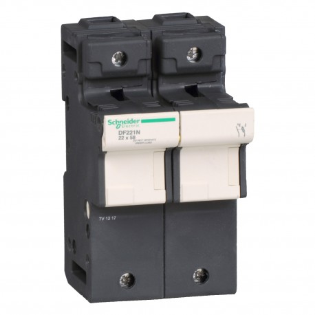 BASE PORTAFUSIBLES 22X58MM 1P + N 125A SCHNEIDER DF221N
