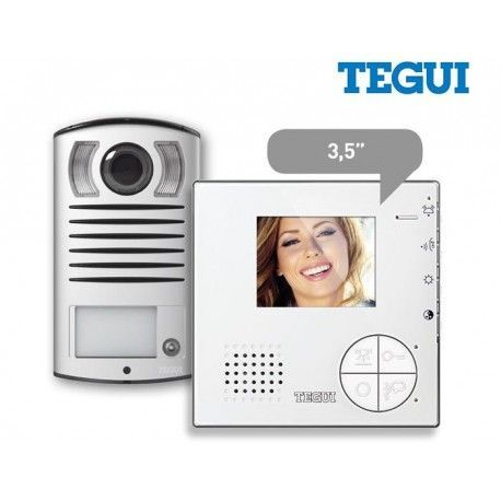 KIT VÍDEO PORTERO DE 2 HILOS COLOR MANOS LIBRES + PLACA L2000 TEGUI 376211