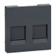 TAPA DOBLE ANTRACITA PARA TOMA DE DATOS RJ45 SCHNEIDER ELEGANCE MTN4562-0414