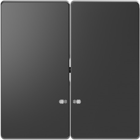 TECLA DOBLE CON VISOR ANTRACITA SCHNEIDER D-LIFE MTN3420-6034