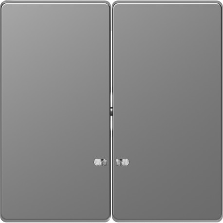 TECLA DOBLE CON VISOR ALUMINNIO SCHNEIDER D-LIFE MTN3420-6036